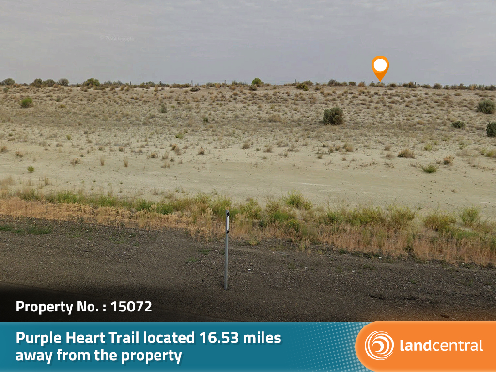Gargantuan land parcel outside of Elko, NV Bursting with Potential8