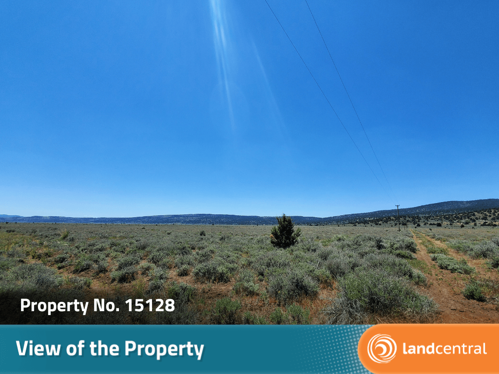 Expansive 20 plus acre property in the beauty of Termo, CA8