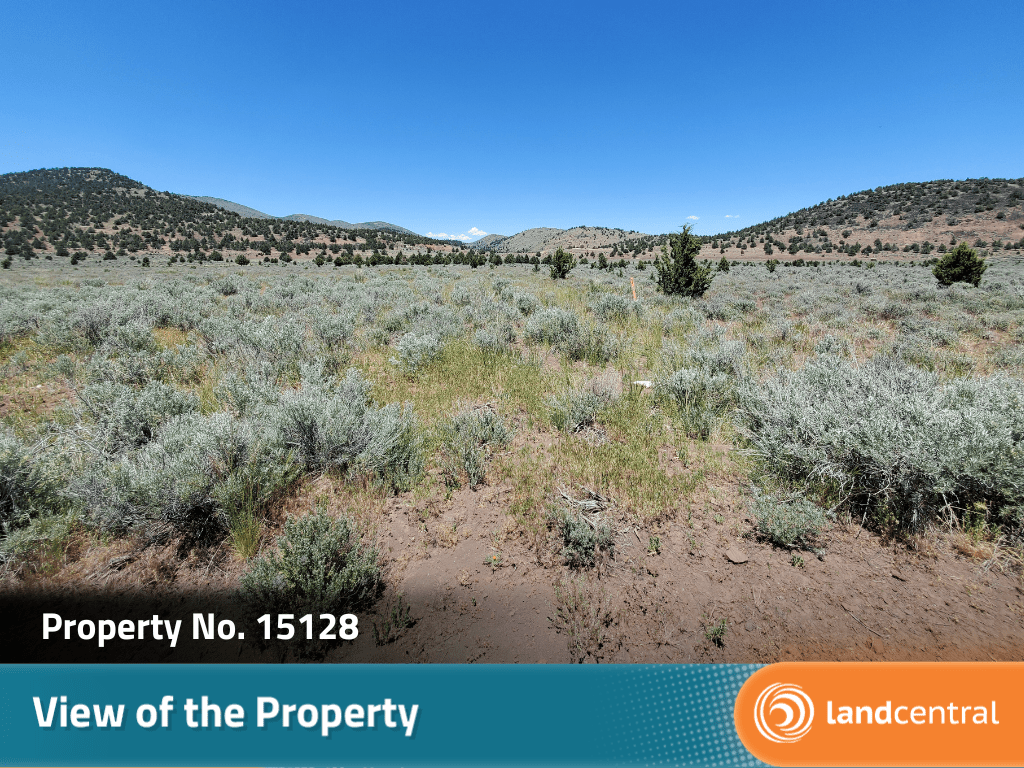 Expansive 20 plus acre property in the beauty of Termo, CA3