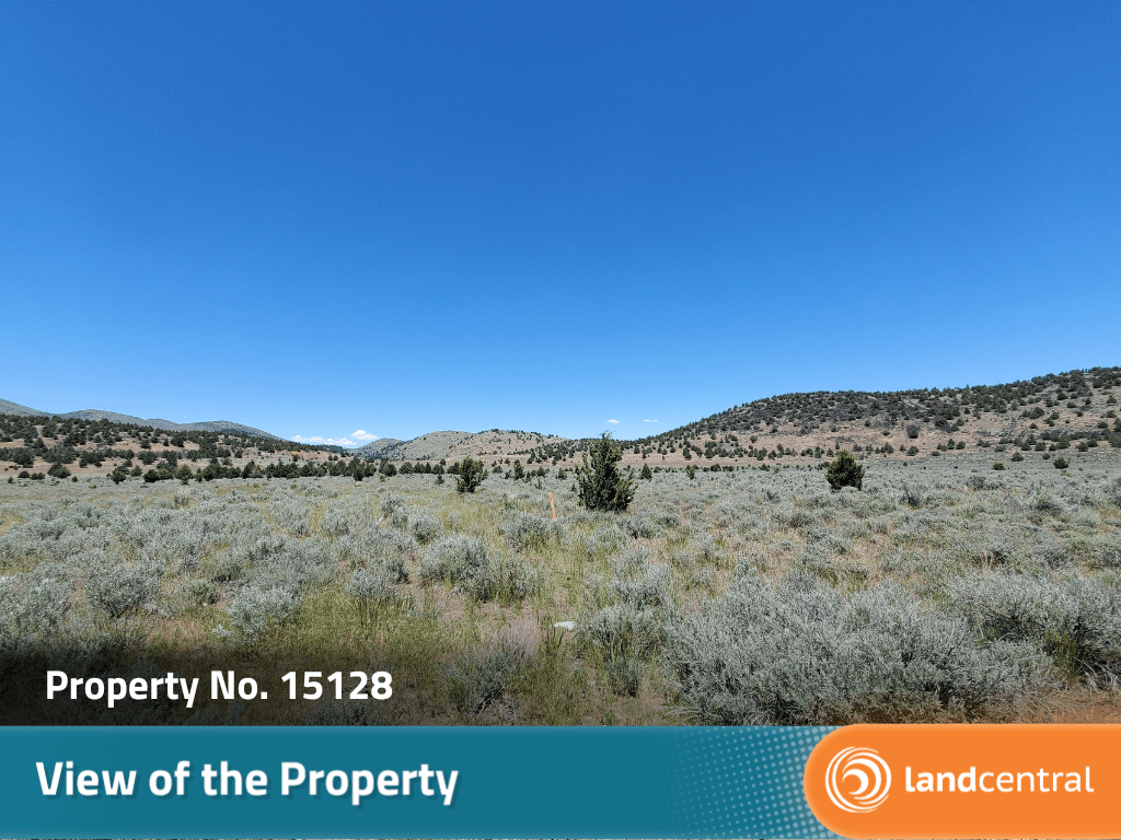 Expansive 20 plus acre property in the beauty of Termo, CA4