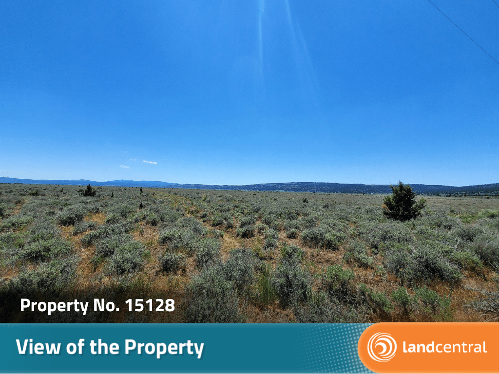 Expansive 20 plus acre property in the beauty of Termo, CA5