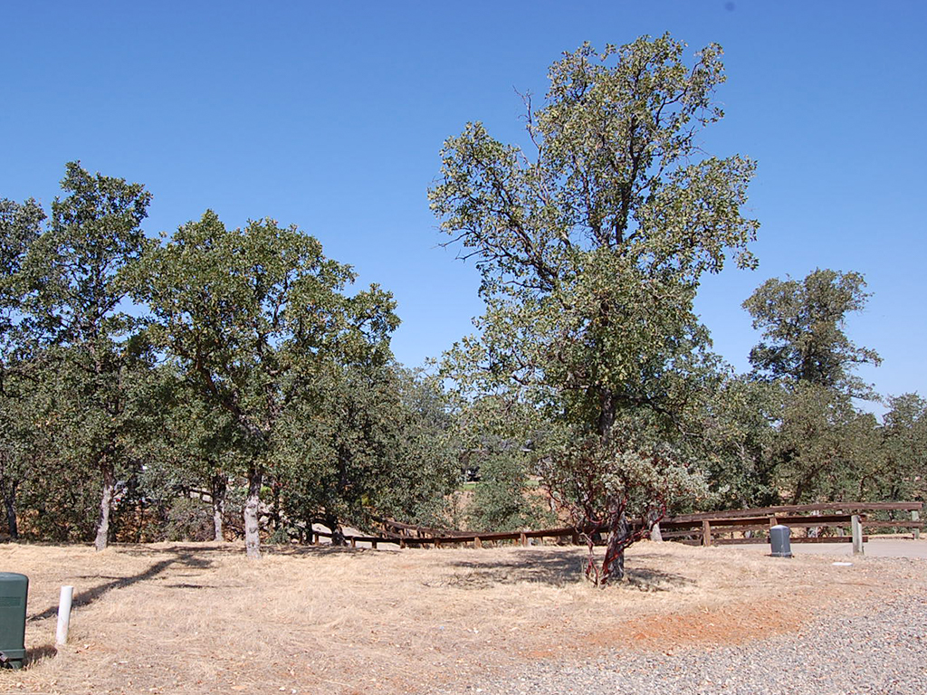 Land Near Sacramento River1