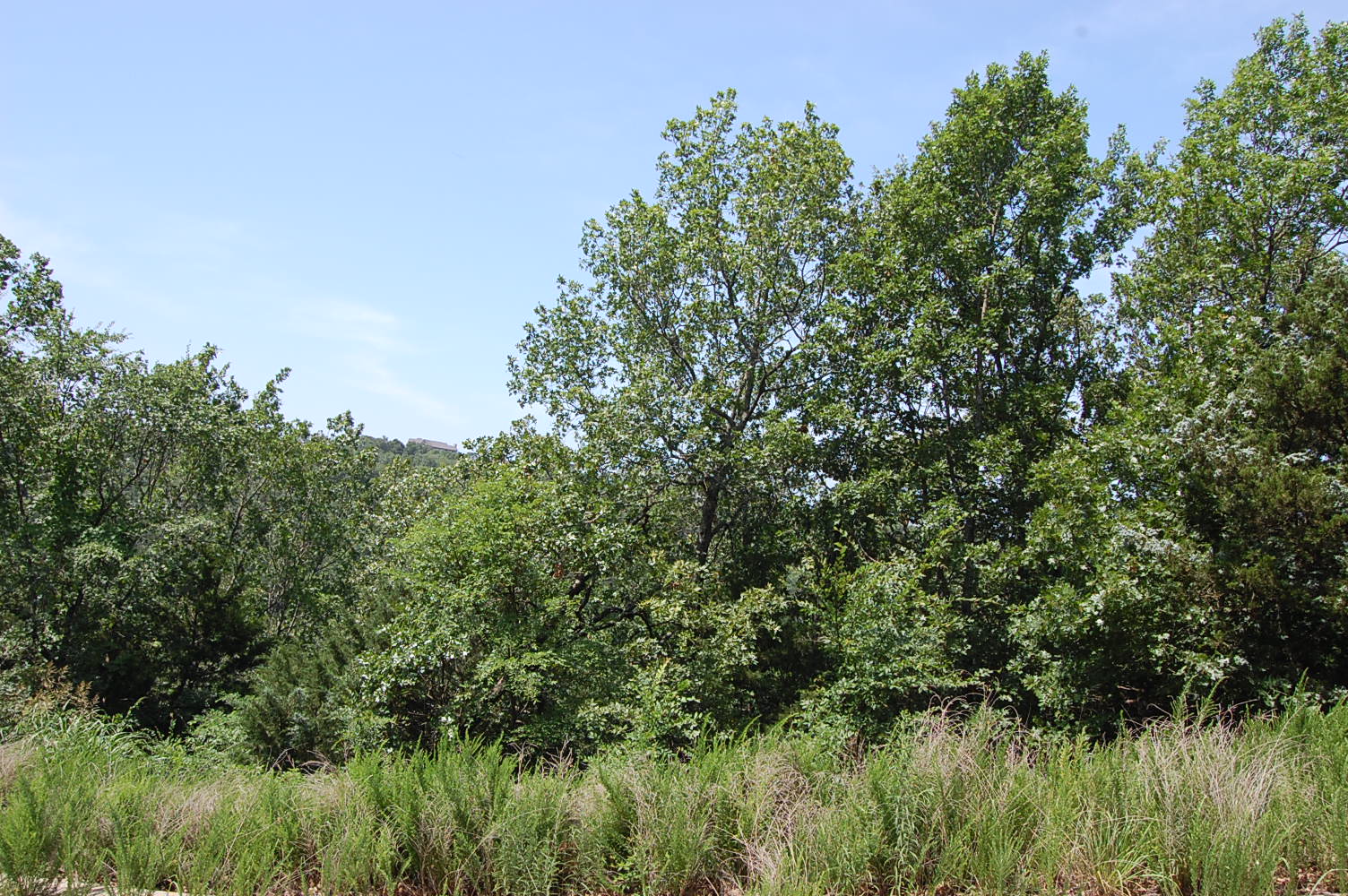 Stunning Land Opportunity Near Table Rock Lake1