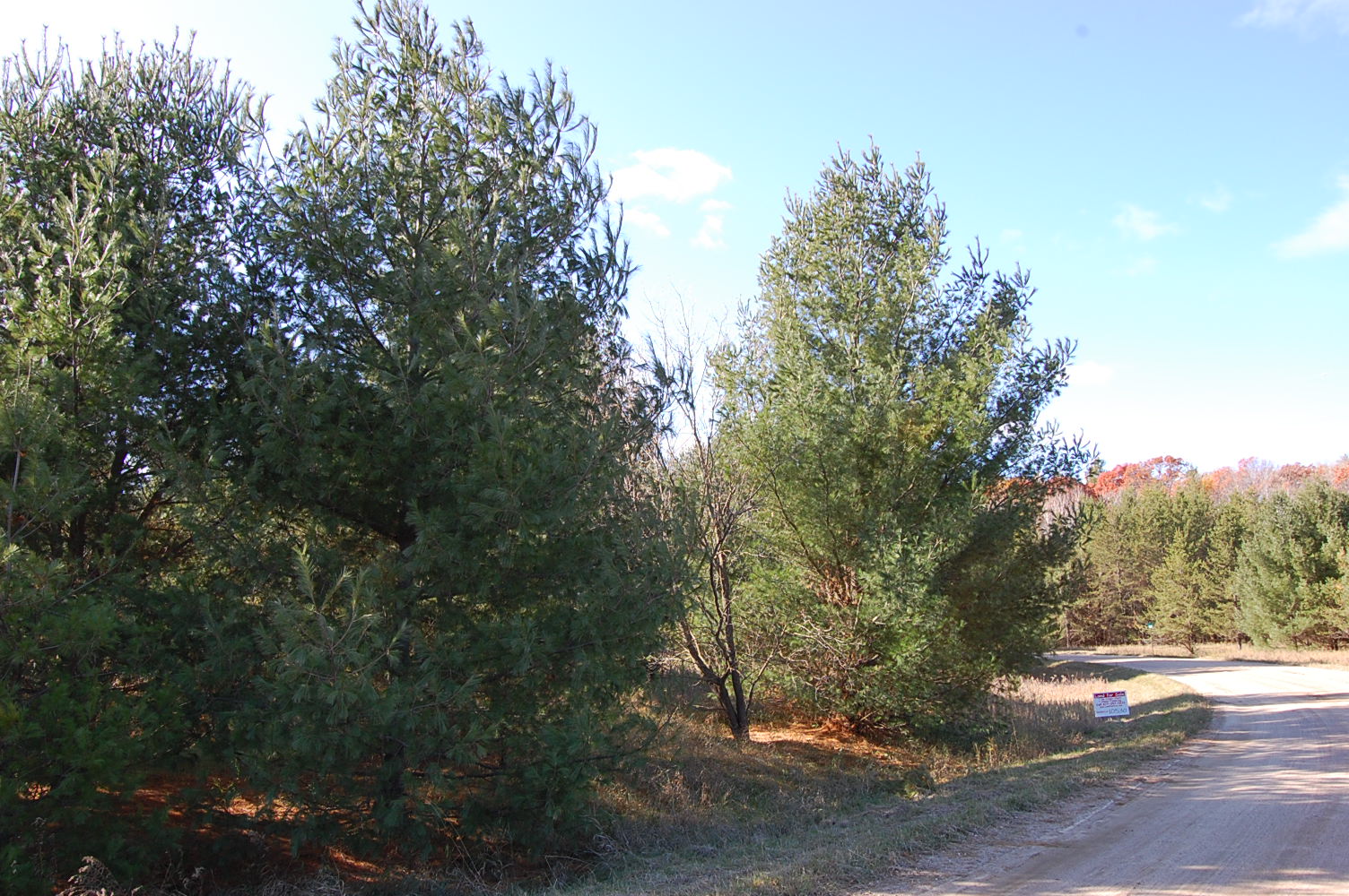 Double Lots in Sylvan Shores Villa1