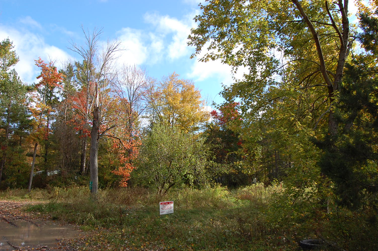 Rural Wixom Lake Michigan Property1