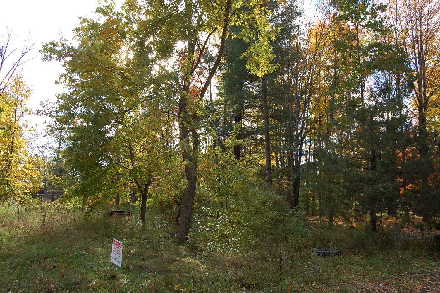 Rural Wixom Lake Michigan Property1