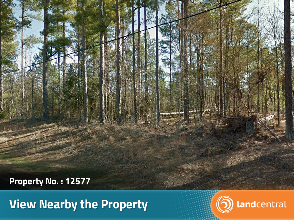 Enjoy the Great Outdoors from this Northern Mississippi Acreage1