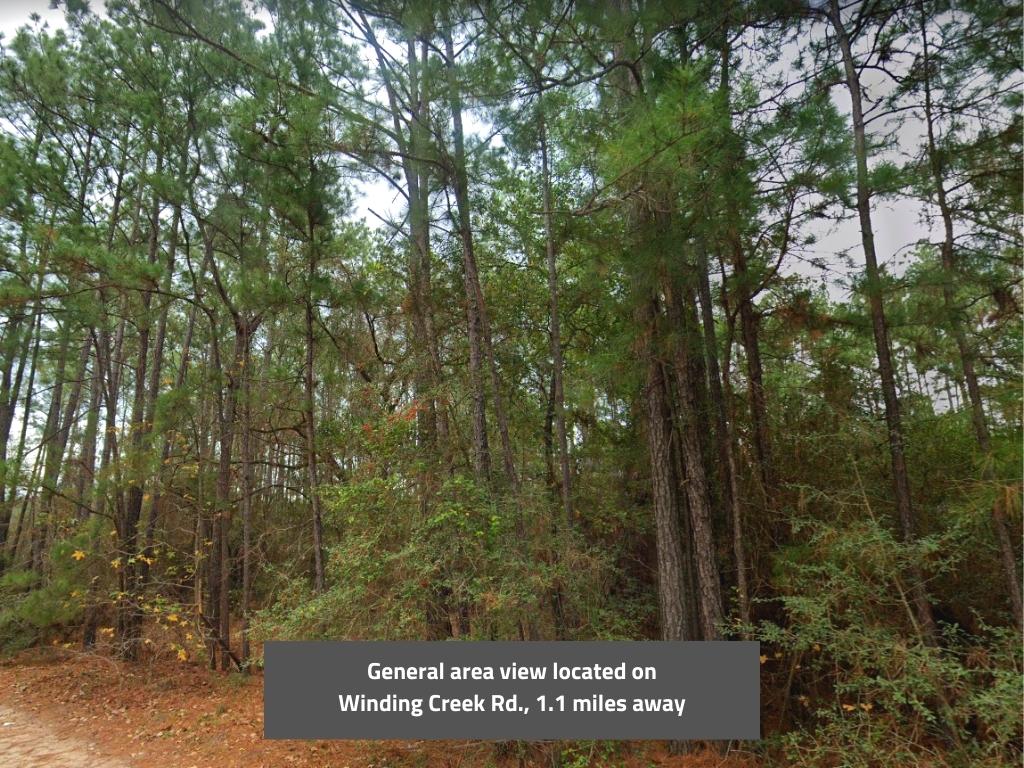 Lake L Acres Trinity Texas Plot1