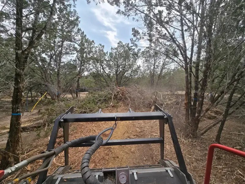 Our Work Land Clearing Services in Austin, TX