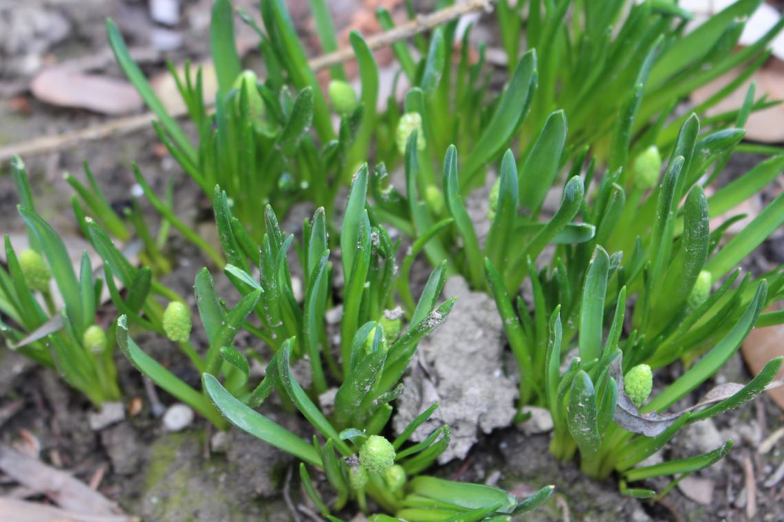 landeiundco.de Auf in den Garten... landeiundco.de