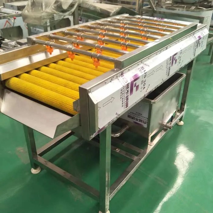 Inline BrushRoller Washing Machine Food Packaging Processing Solutions