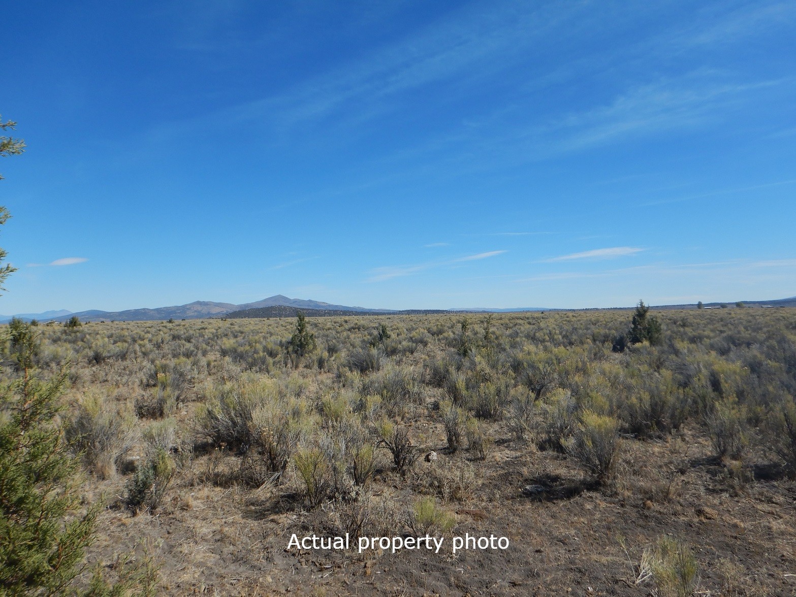 Lassen County CA Land For Sale LandForSaleStore