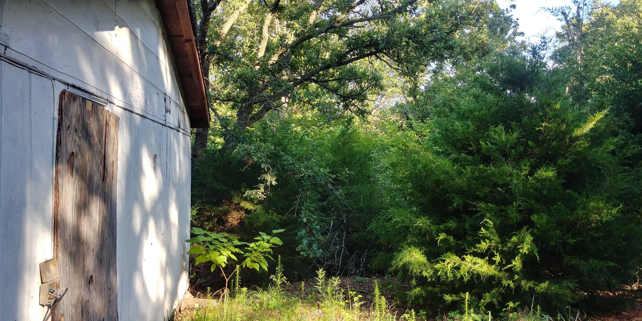 15 Acres w/ Electric, Well, Septic, & An Abandoned House