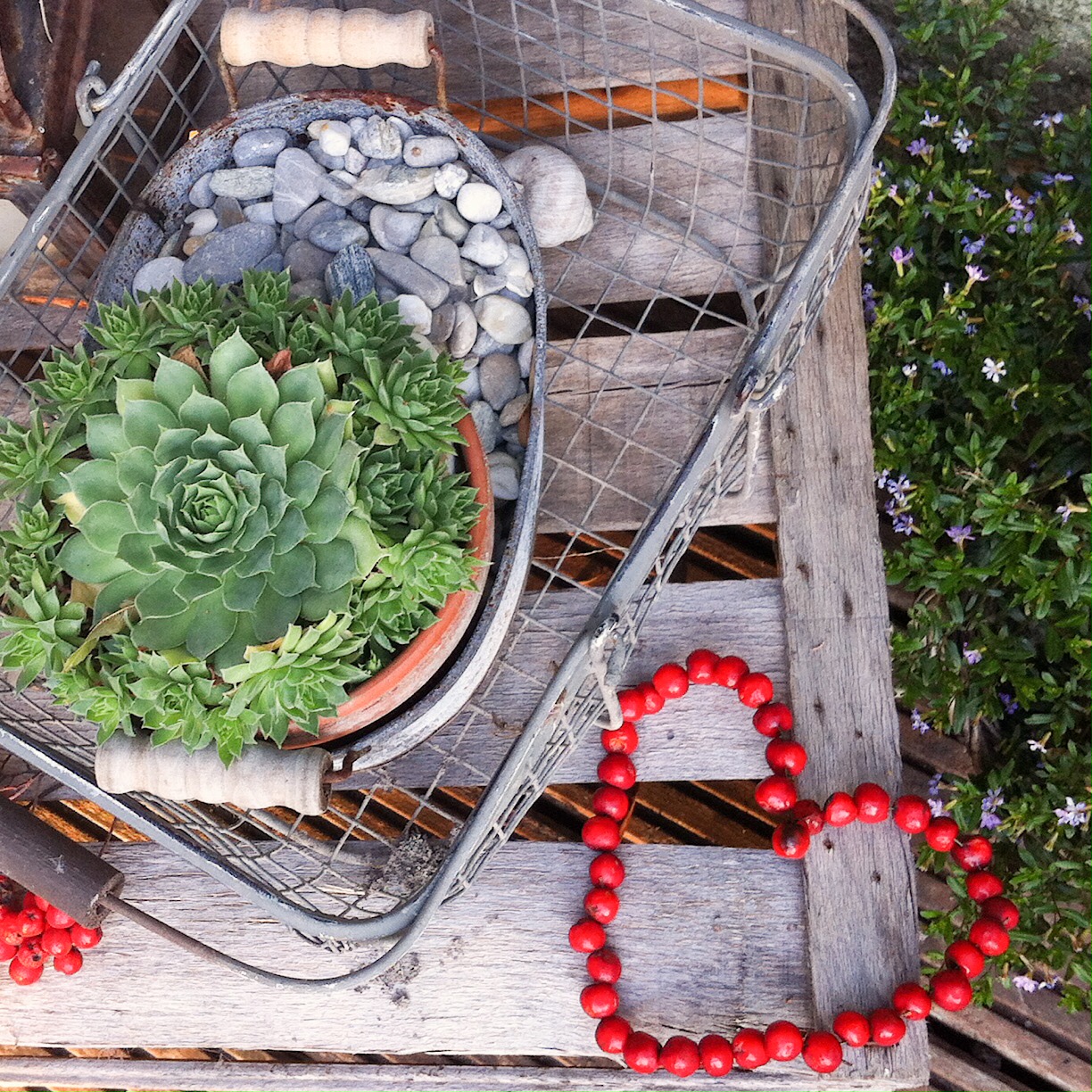 Meine HerbstDeko 2015 ganz einfach selbst gemacht! glutenfreie