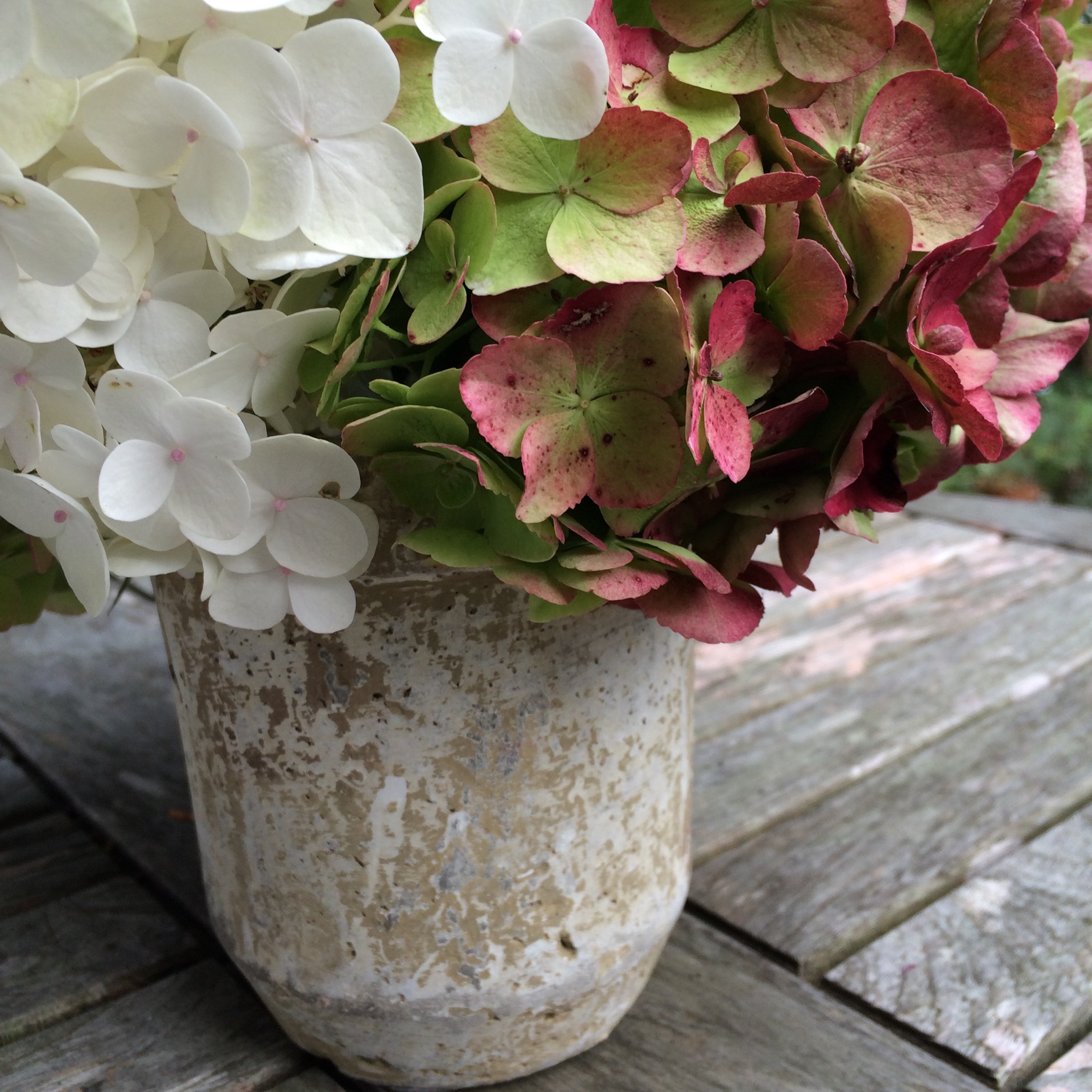 HerbstDeko 2016 VintageLook & Holzscheite glutenfreie Rezepte