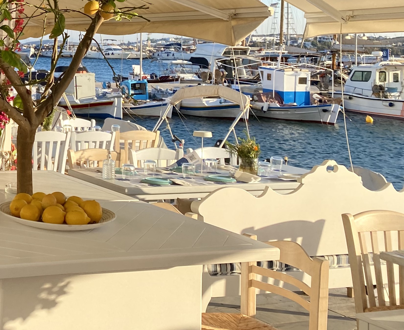 RESTAURANTS IN CARTAGENA Land Ho! Tours