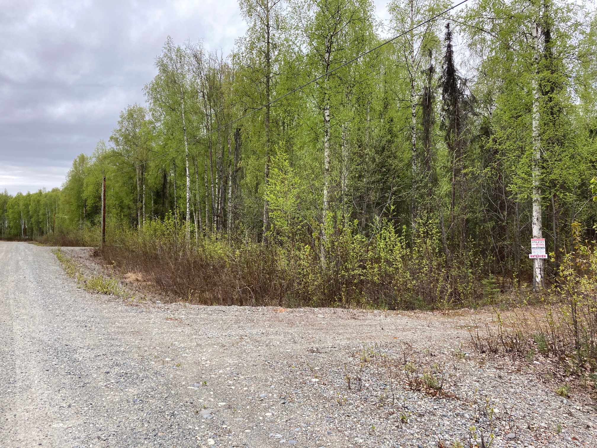File B259 Hilltop Lot with Frontage on Susitna River (Sold 062024