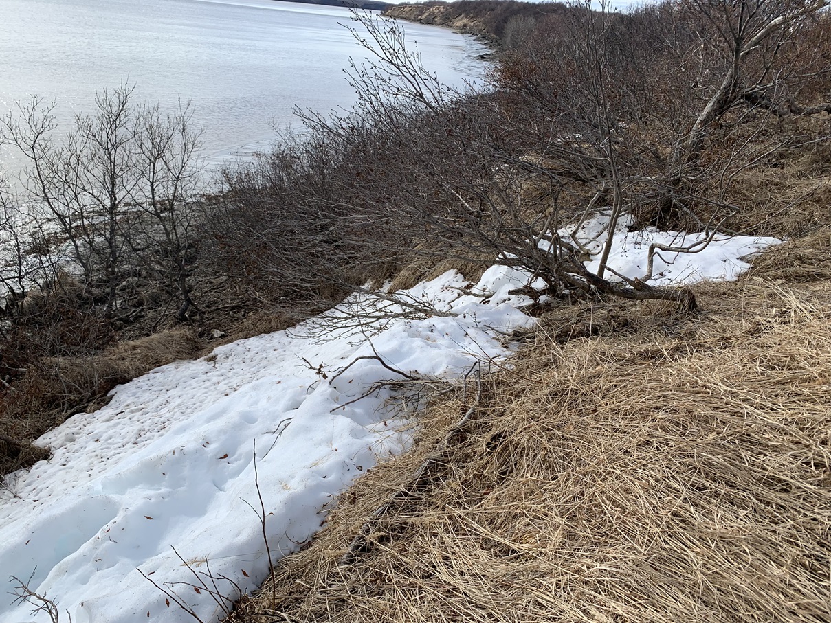 File B262 Naknek River Frontage between Naknek & King Salmon (Sale