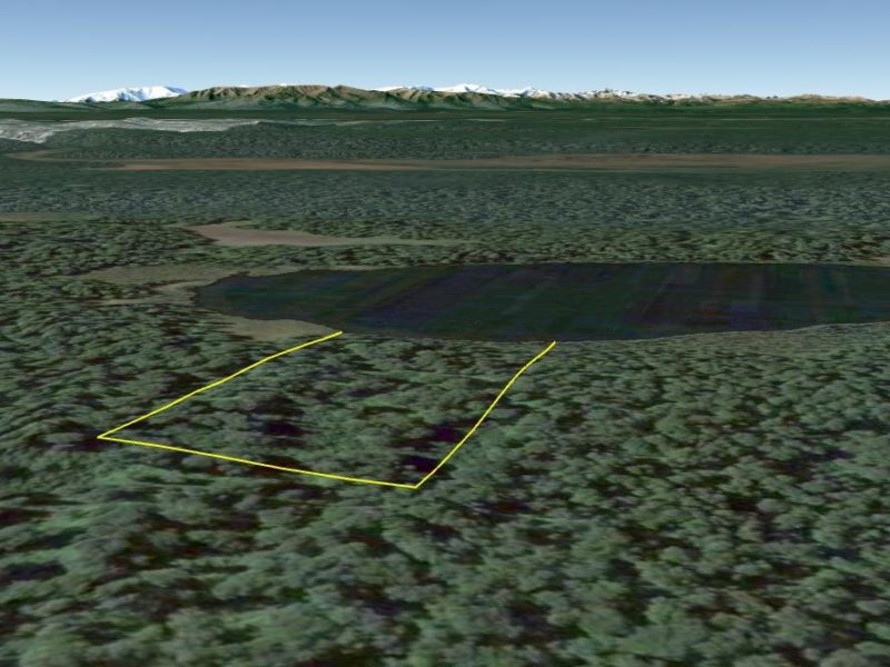 Residential, Recreational, Remote Land & Cabins Statewide Real Estate