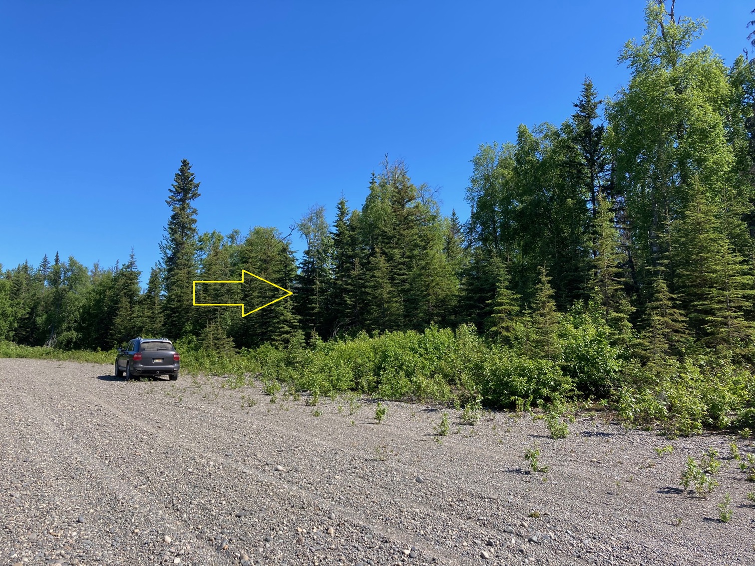 File G135 10 Acres with Private Airstrip in Nikiski (Sold 102024