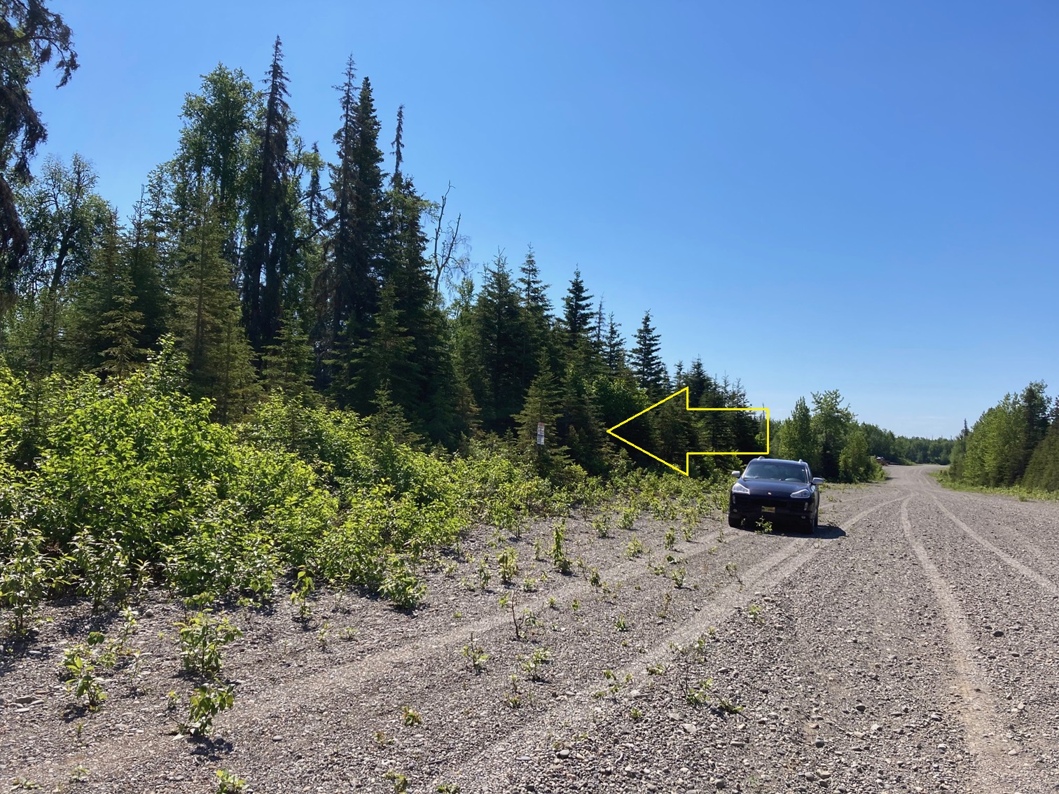 File G135 10 Acres with Private Airstrip in Nikiski (Sold 102024