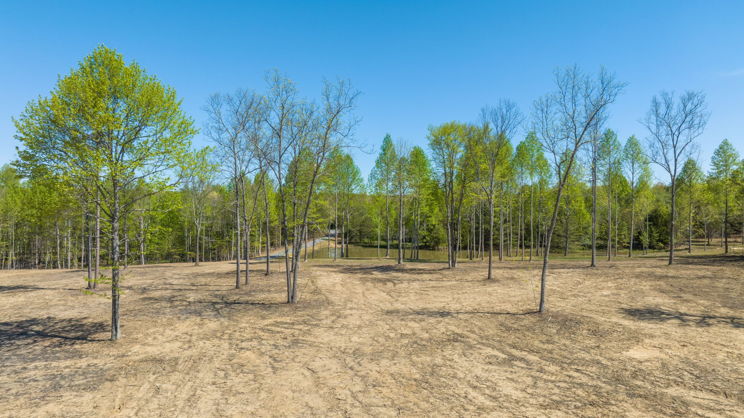 Lake Lot 17 42 Acres of Field, Forest, Pond and Creek, and