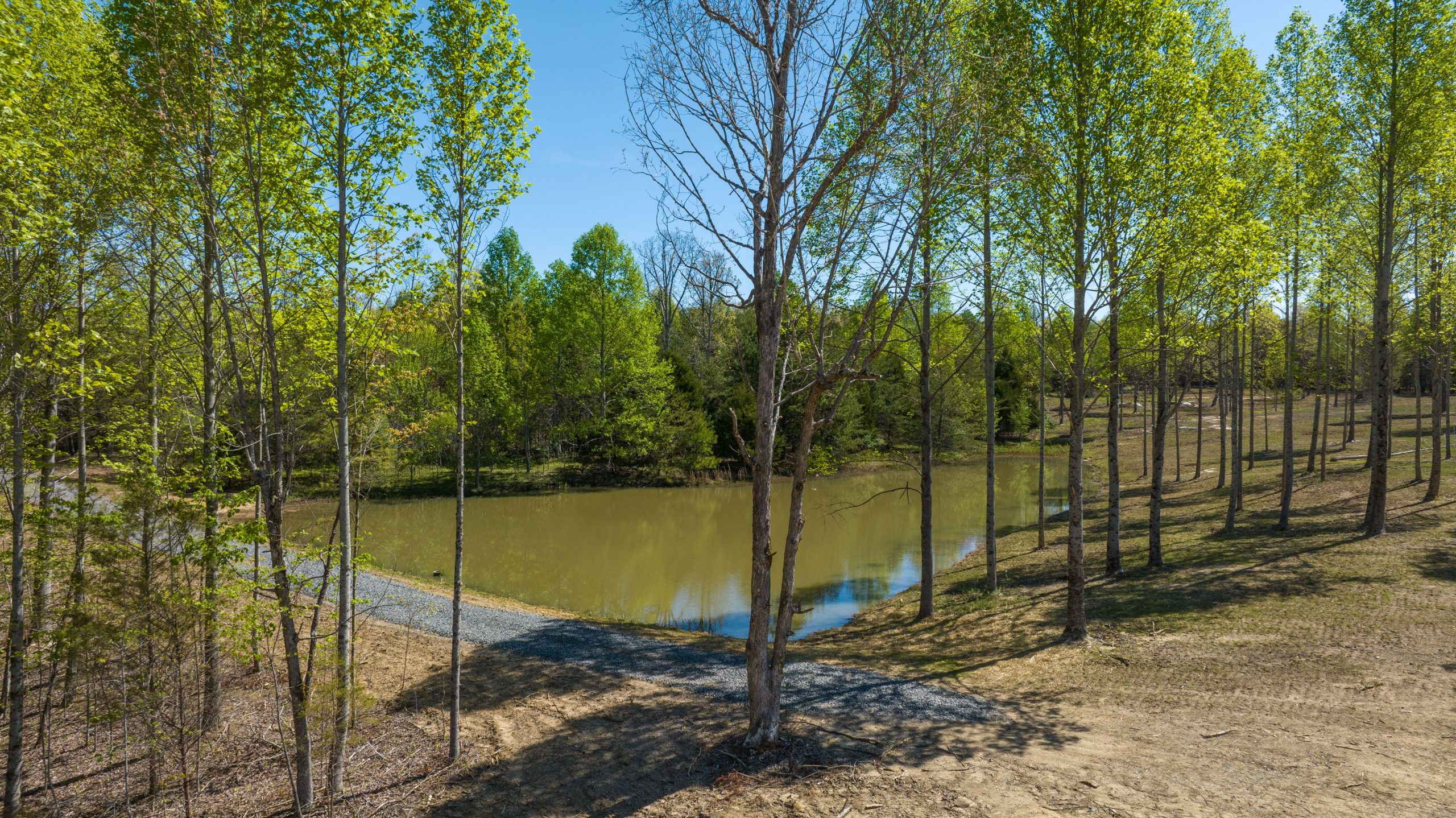 Lake Lot 17 42 Acres of Field, Forest, Pond and Creek, and