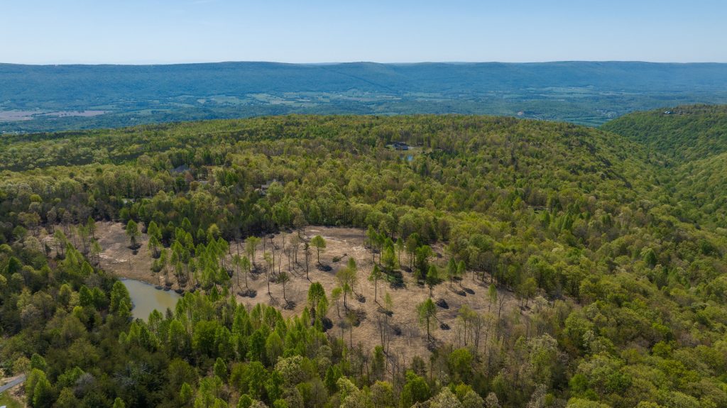 Lake Lot 17 42 Acres of Field, Forest, Pond and Creek, and