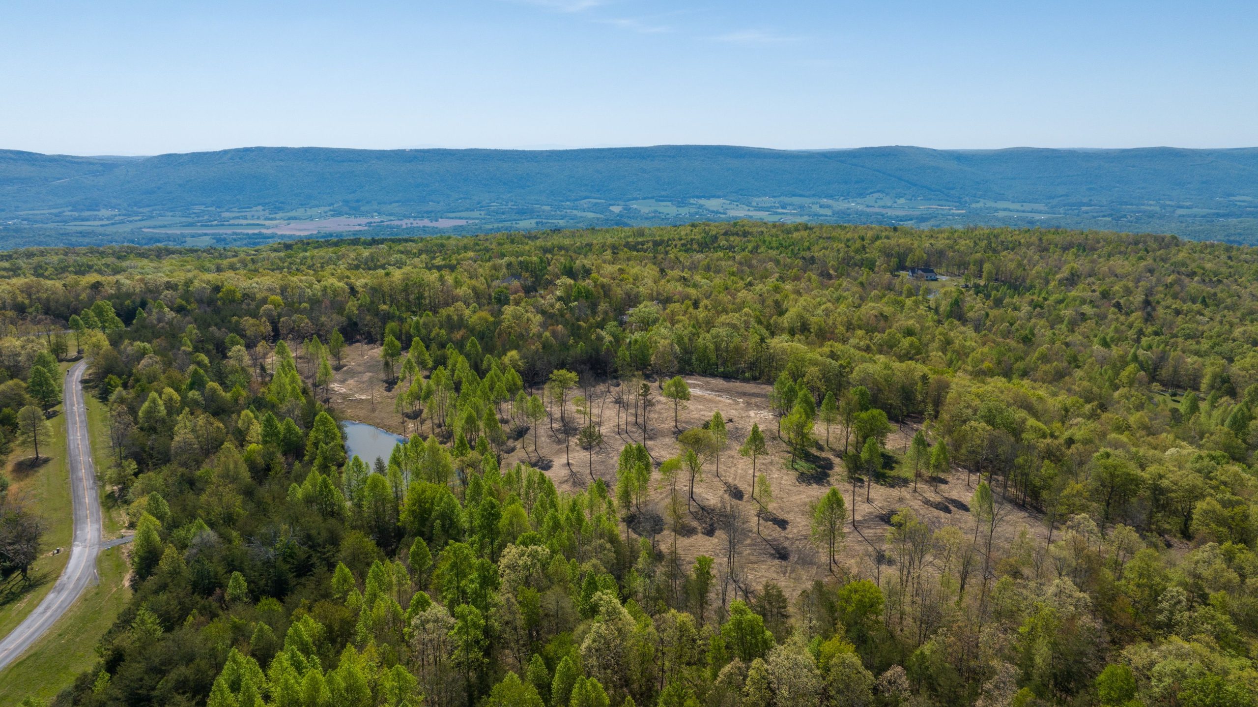 Lake Lot 17 42 Acres of Field, Forest, Pond and Creek, and