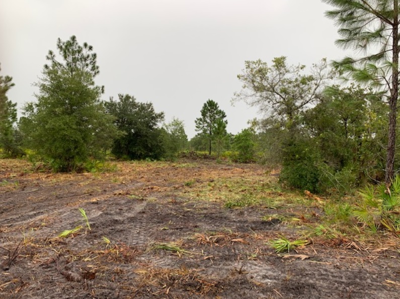 Suburban Estates Holopaw Florida Recreational Land, Land In The USA Inc