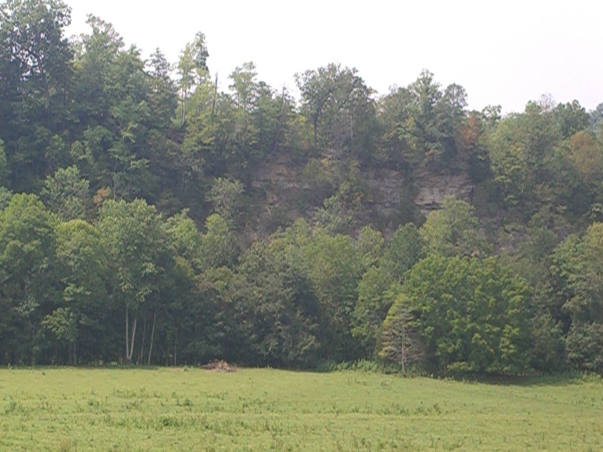 42 +/ Acres of bluff top land on running River Access in Pall Mall