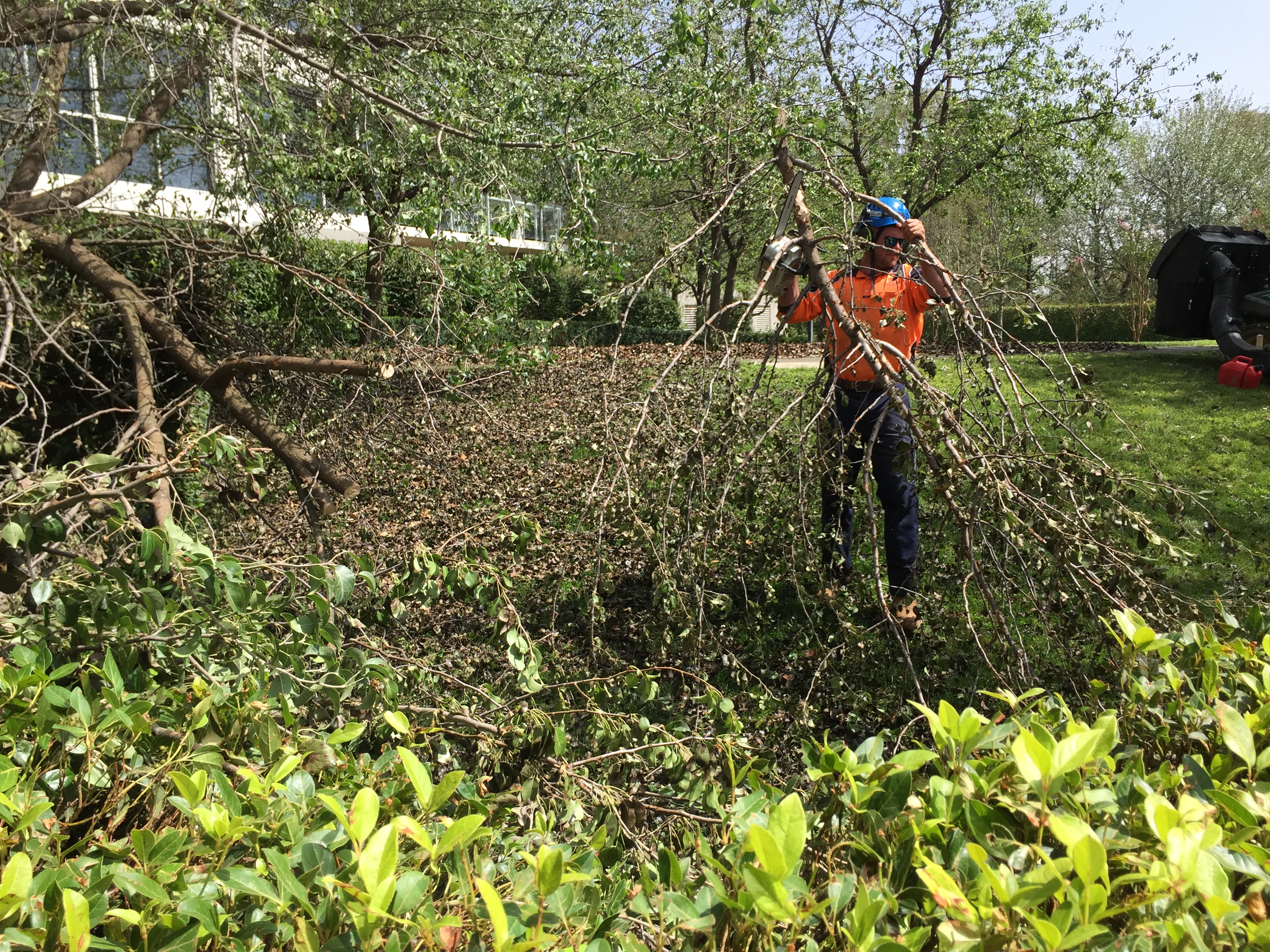 IMG_3345 Landmark Apartments