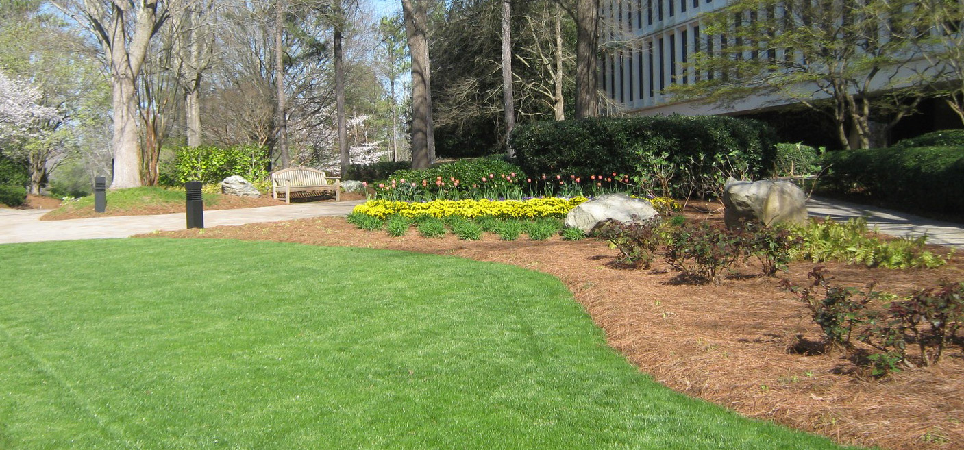 Home Landmark Landscape Group