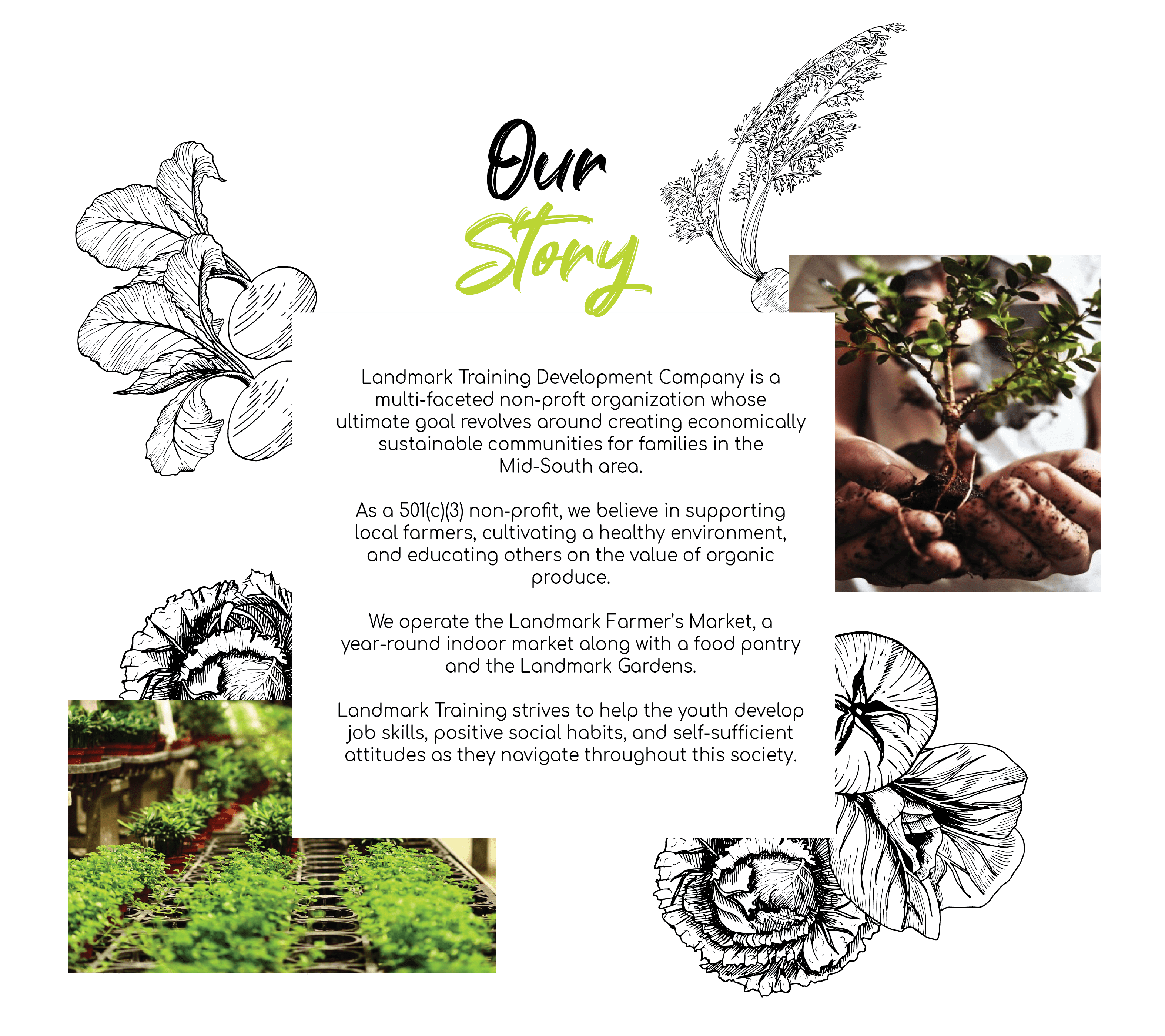 ABOUT Landmark Training Development Company