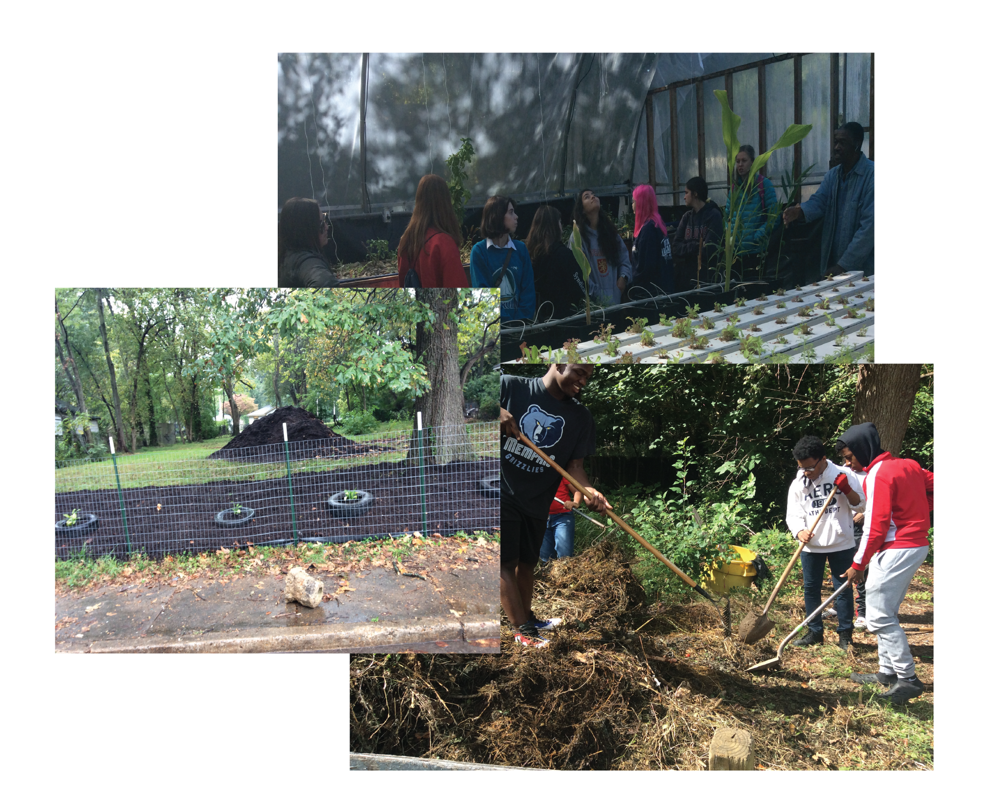 PROGRAMS Landmark Training Development Company