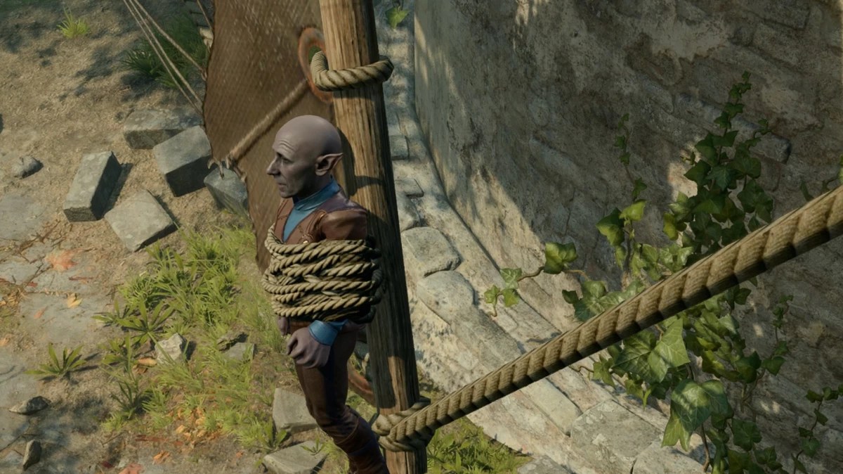 Rescue the Gnome in Baldur's Gate 3 where to find Bark Root's backpack