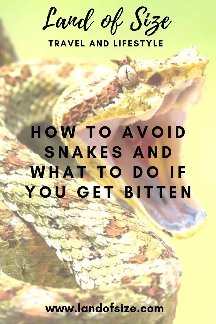 How to avoid snakes and what to do if you get bitten Land of Size