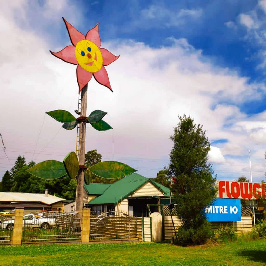 The Big Flower, Ourimbah, NSW Land of the Bigs