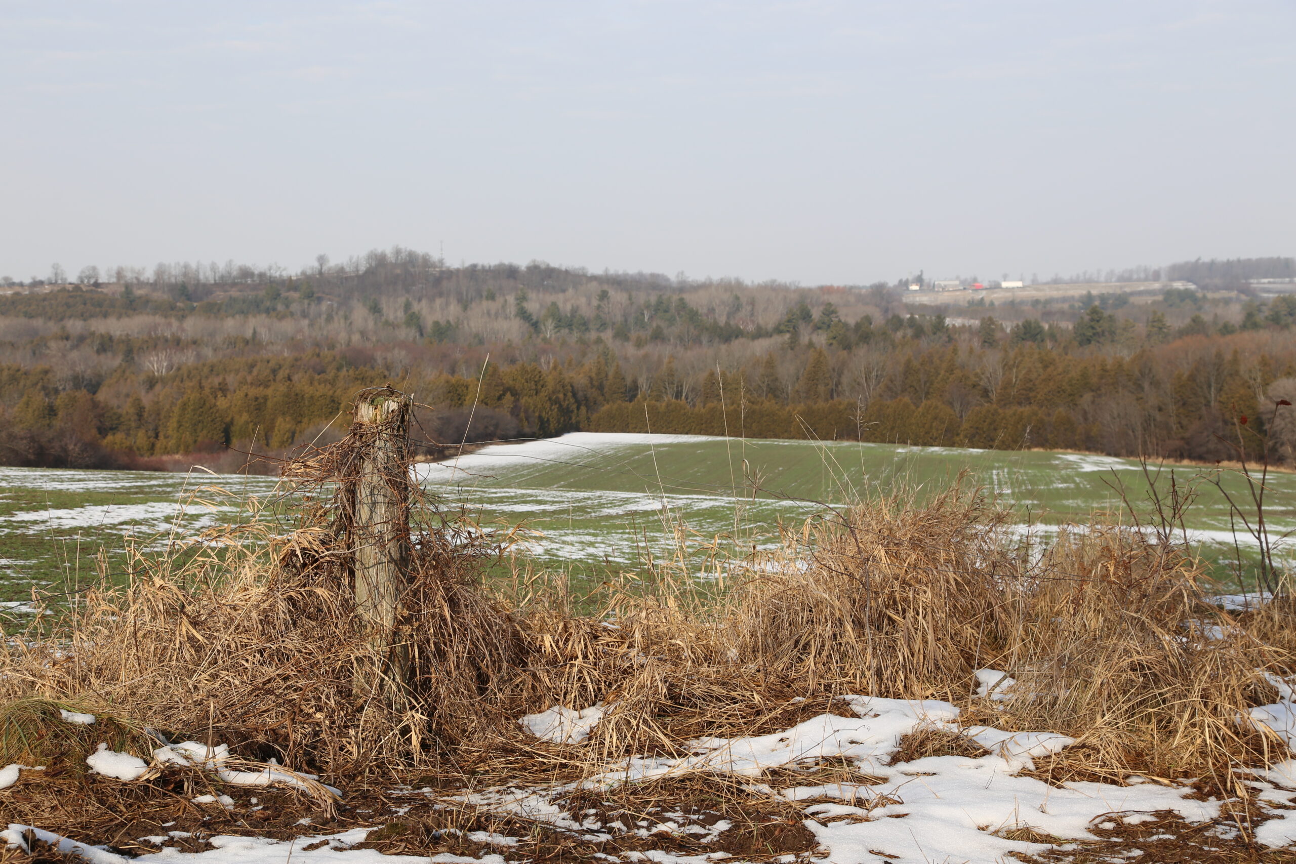 Millbrook, Ontario LandPass