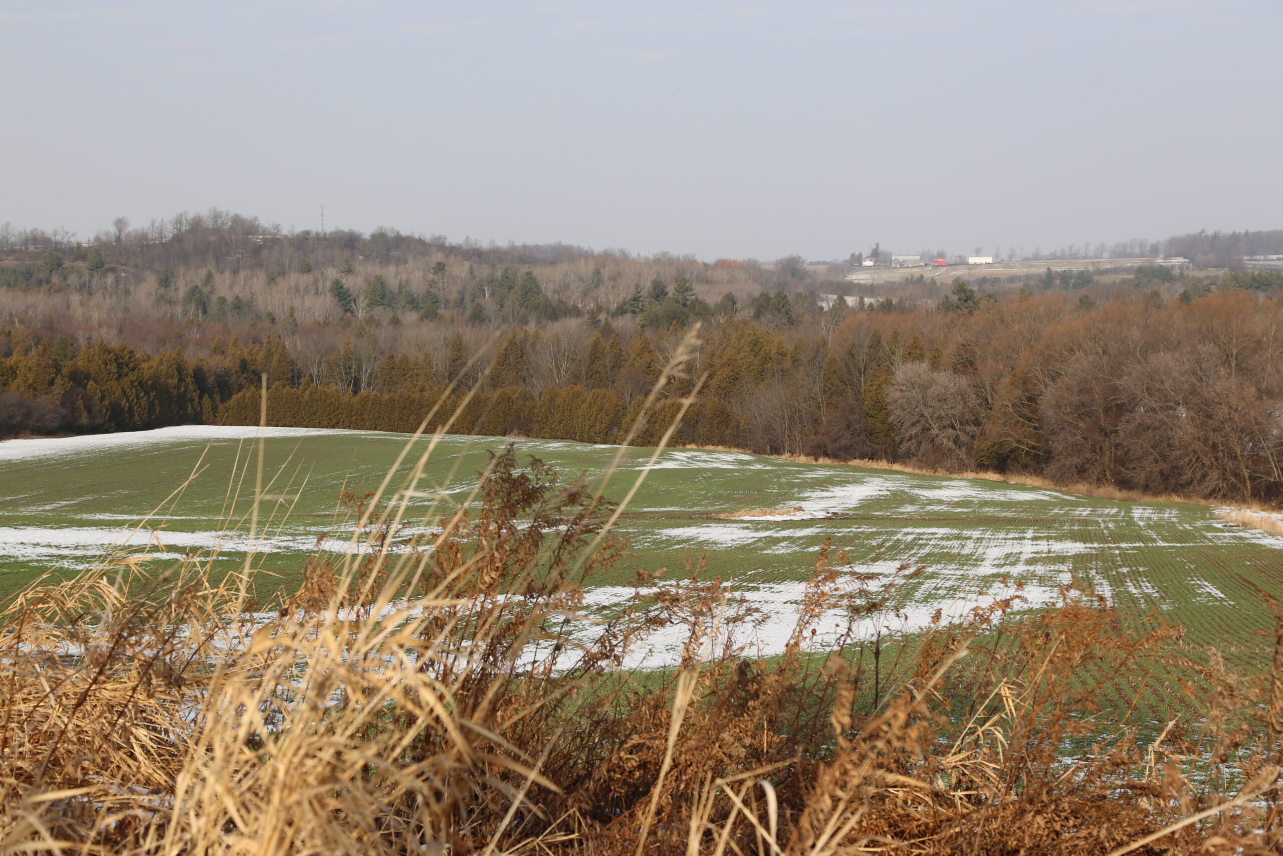Millbrook, Ontario LandPass