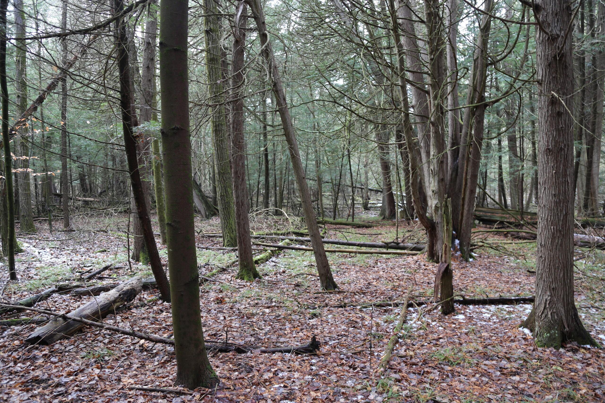 Millbrook, Ontario LandPass