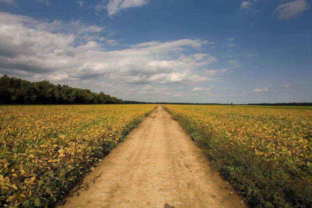 Sold! Kentucky’s Diamond Island The Land Report