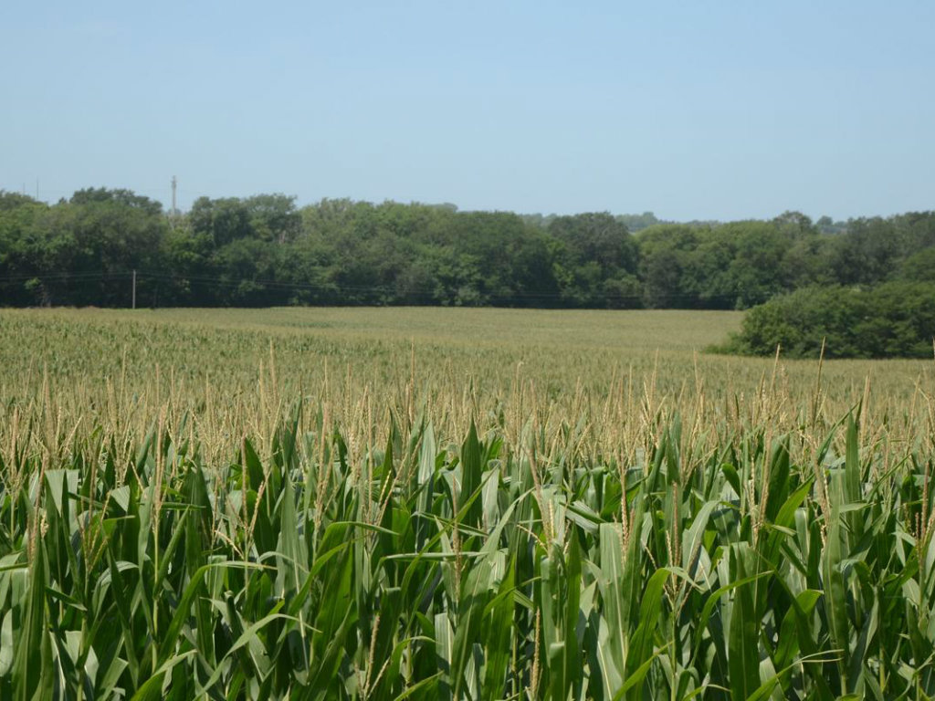 Farmland Values Remain Robust The Land Report