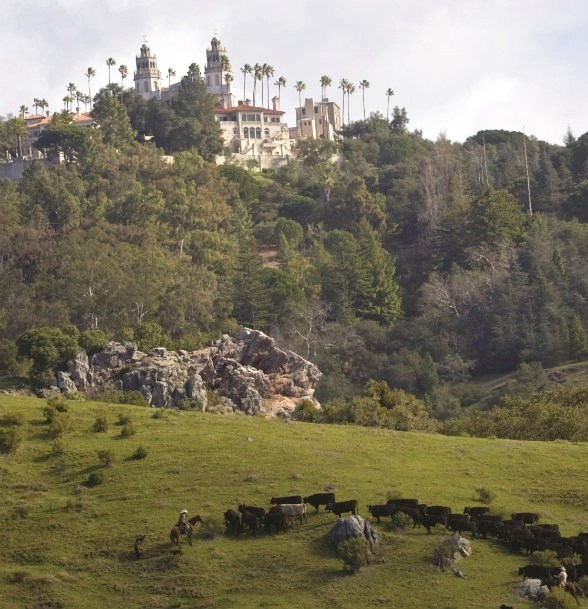 Land Report Case Study Hearst Ranch The Land Report