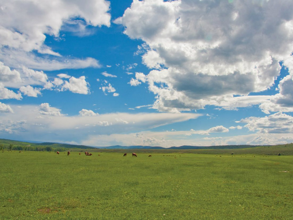 Colorado Cattlemen’s Agricultural Land Trust and Yampa Valley Land
