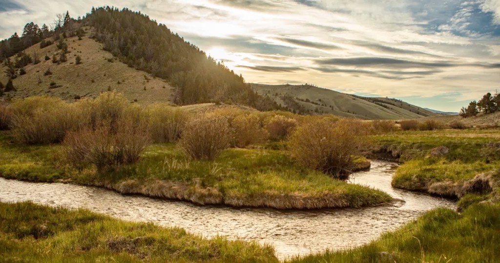 2021 Ranch Deal of the Year Murdoch Creates Matchless Montana Cattle