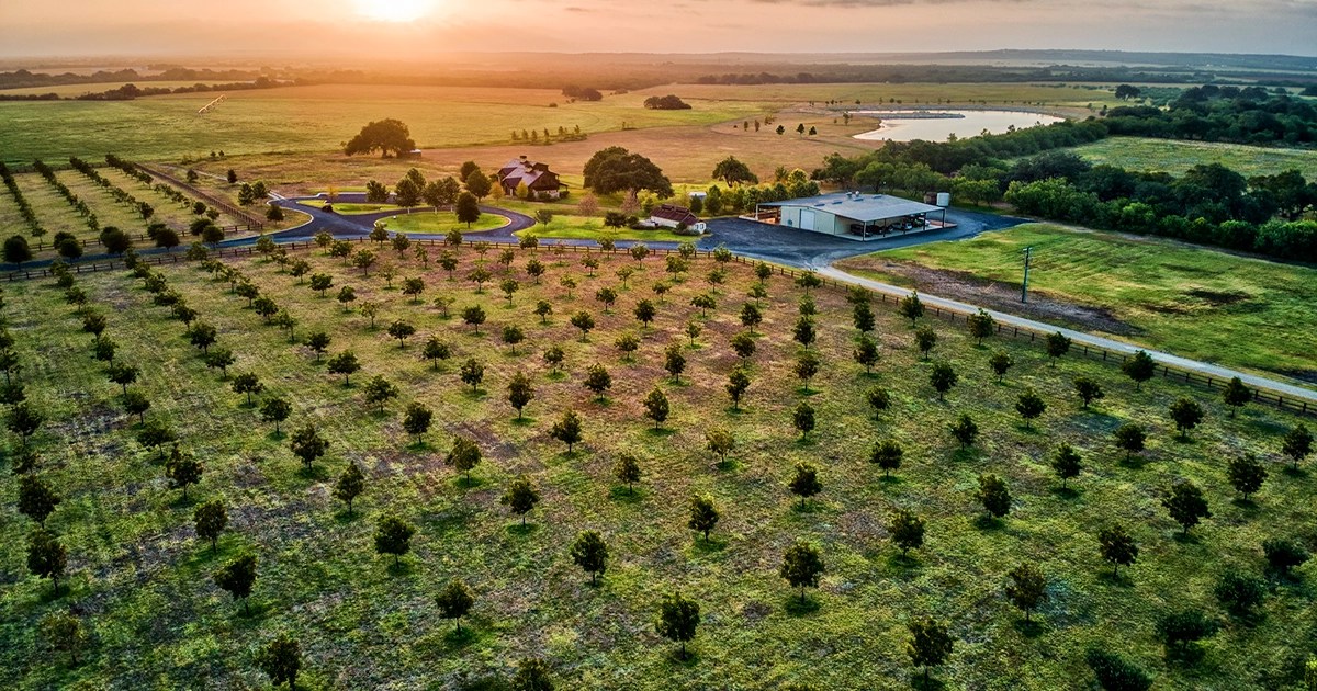 Two Creeks Ranch The Land Report