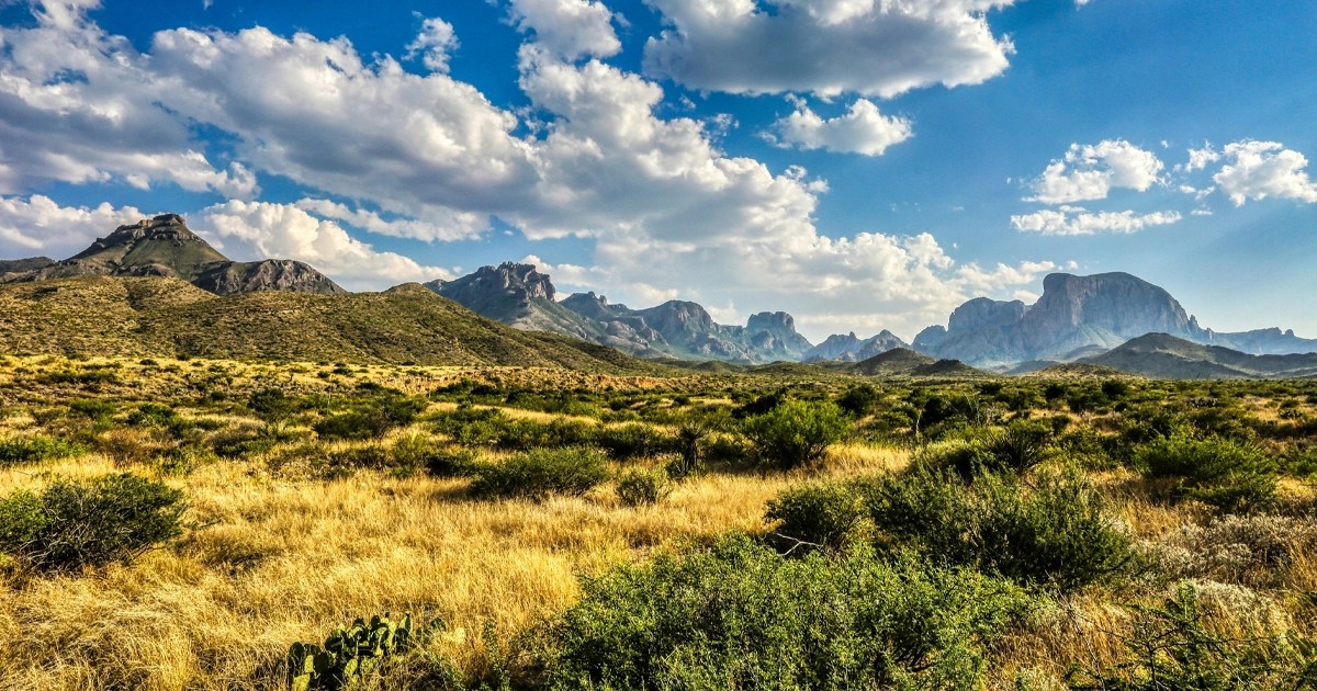 Top 10 Texas Landowners in 2024Who owns the most land in Texas? The