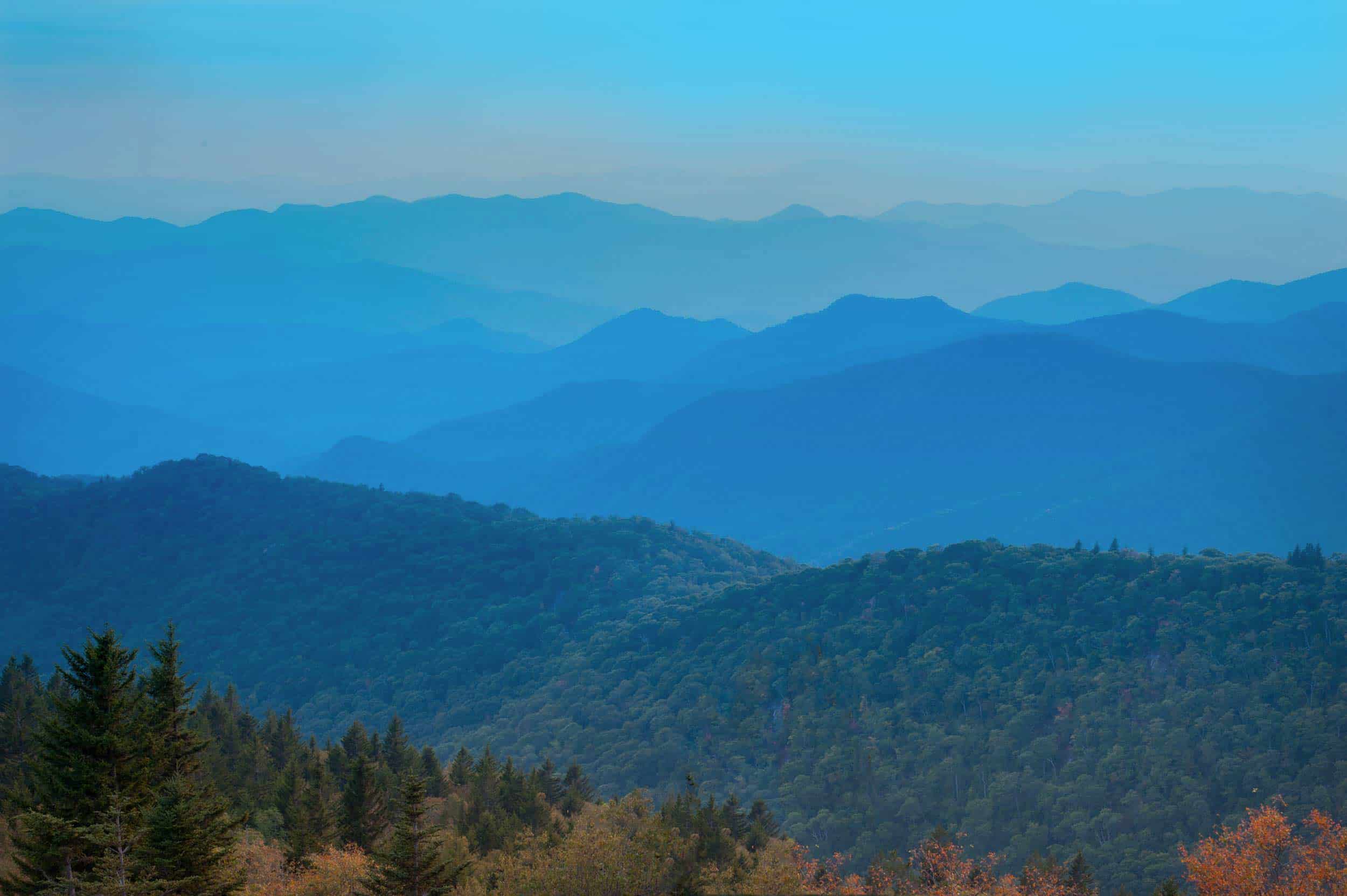 Blog Land Resource Management Licensed Soil Scientists