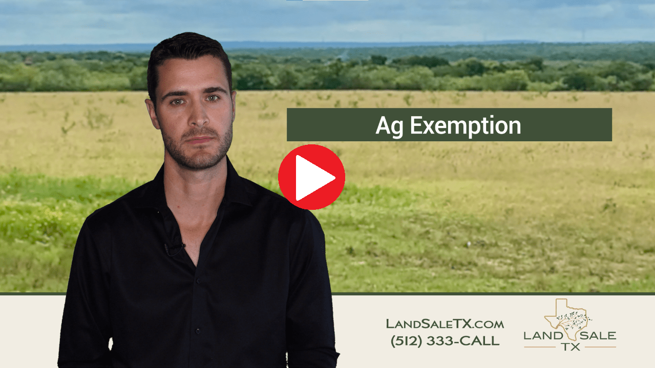 Ag Exemption is the Bees Knees 🐝 Land Sale TX